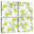 Harnek White Jasmine Flowers-109121353