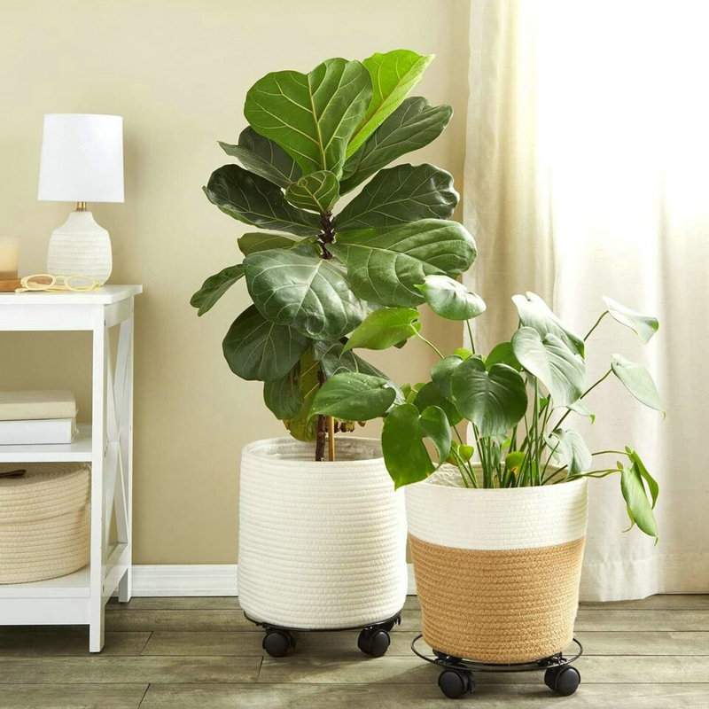 Support pour plante en métal Sandar