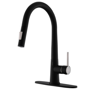 GAWEZA Pull Down Kitchen Faucet