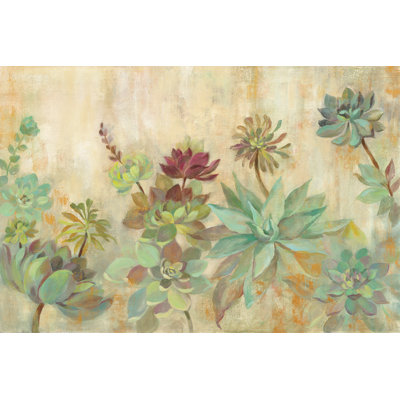 Succulent Garden by Silvia Vassileva - Wrapped Canvas Painting