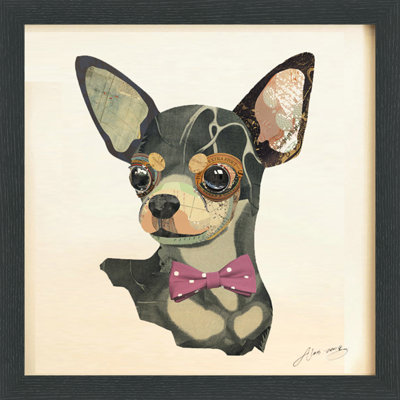" Chihuahua Closeup " by Alex Zeng