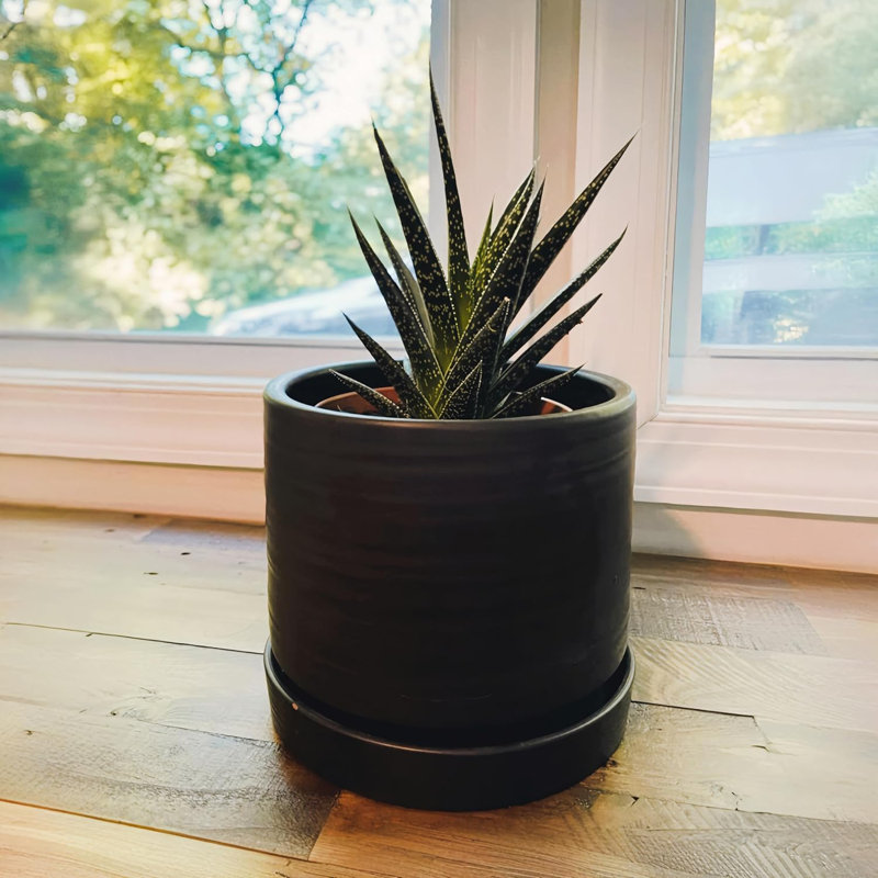6" Matte Black Ceramic Plant Pot With Drainage & Saucer