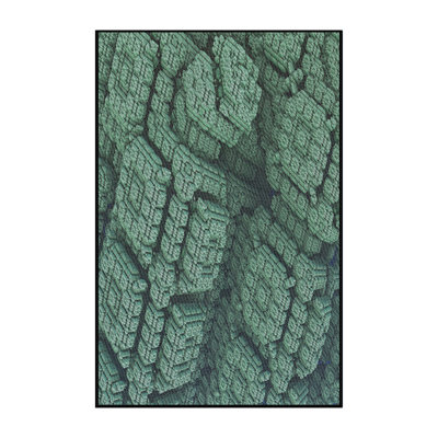 Indoor Rug