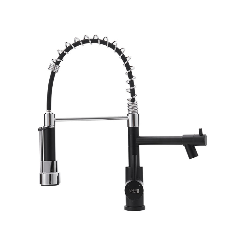 Belfry Kitchen Lippencott Pull Down Kitchen Faucet, Chrome/Black
