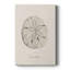 Shore Treasure Study III - galerie Cavas sur mesure-987160889