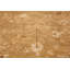 Tapis vert antique Rare Moss