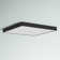 Warrenton LED Flush Mount