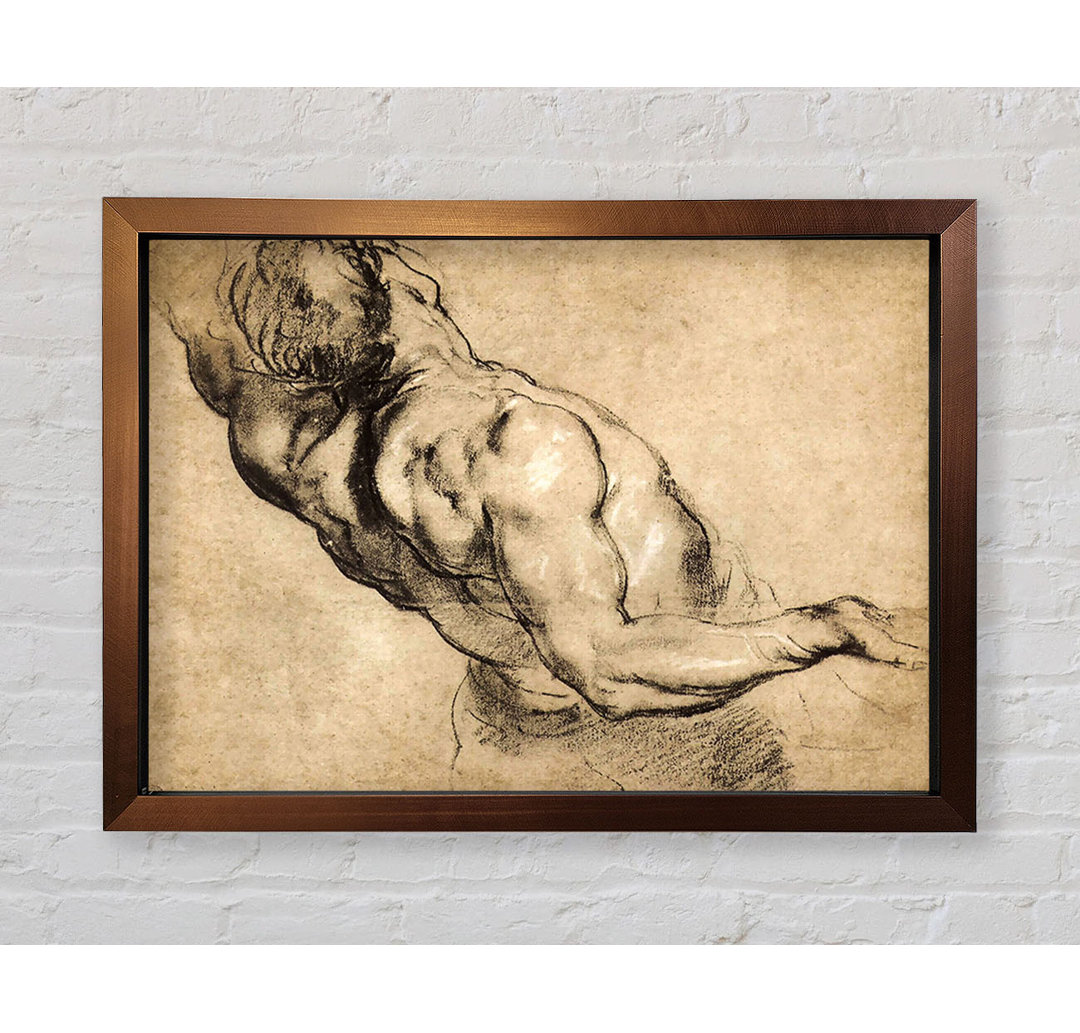 Study Of Mans Torso von Peter Paul Rubens - Einzelne Bilderrahmen Kunstdrucke