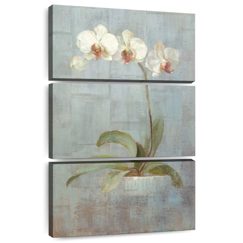 Orchidée élégante Harnek