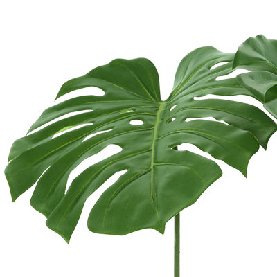 Philodendron Stem (Set of 2)