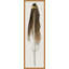 Feather 2 Print by Thom Filicia