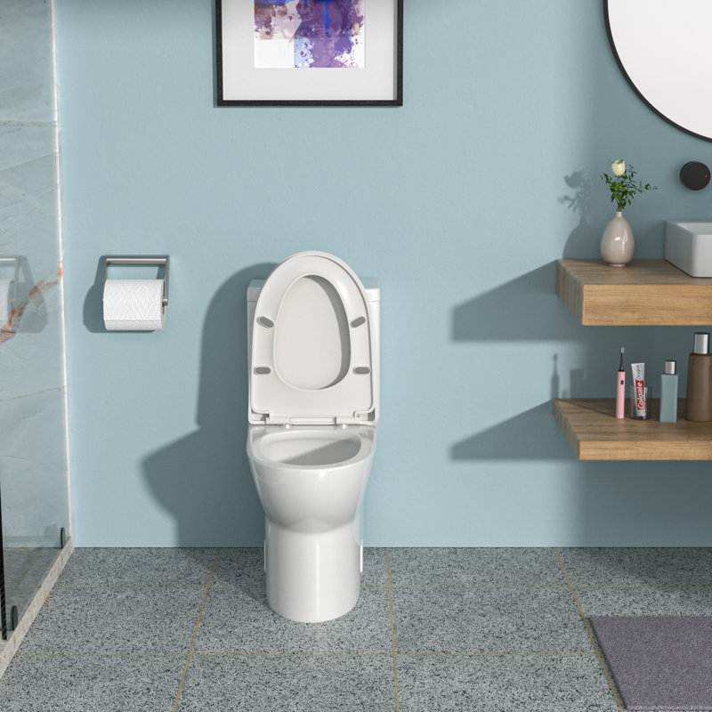 Toilette en céramique une pièce, double chasse avec siège à fermeture en douceur