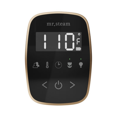 ButlerFlex Steam Shower Control Package with TempoFlex Control and Steamhead 