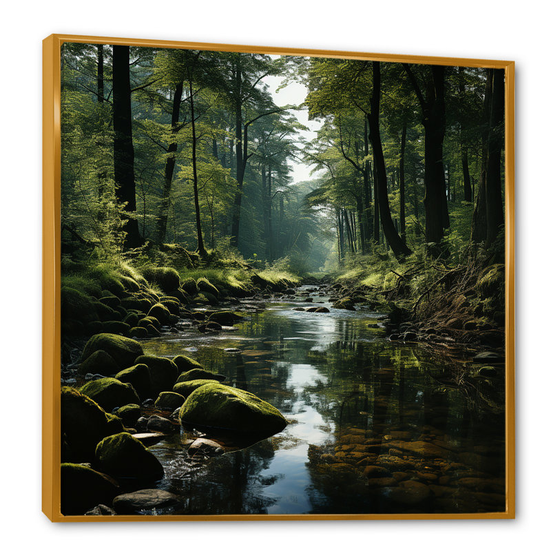 Rivière, forêt, trésor caché, paysage IV, H 24 po x l 24 po x P 1 po, Cadre flottant doré