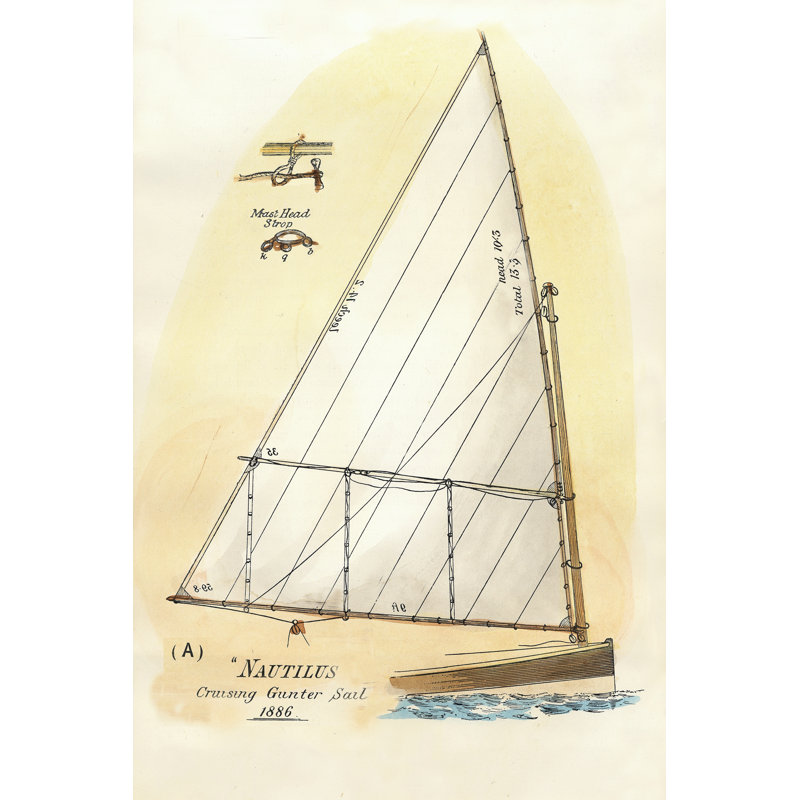Nautilus III - Wrapped Canvas Print, 46cm H x 30cm W