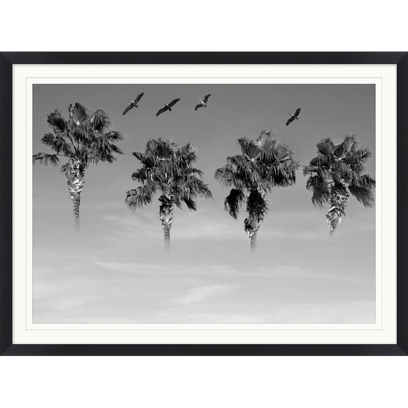 «Flock of Palms» par Mat Sanders - Photographie sur papier Shadowbox