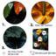 Plantes botaniques exotiques sur toile-2009995681-2009995680