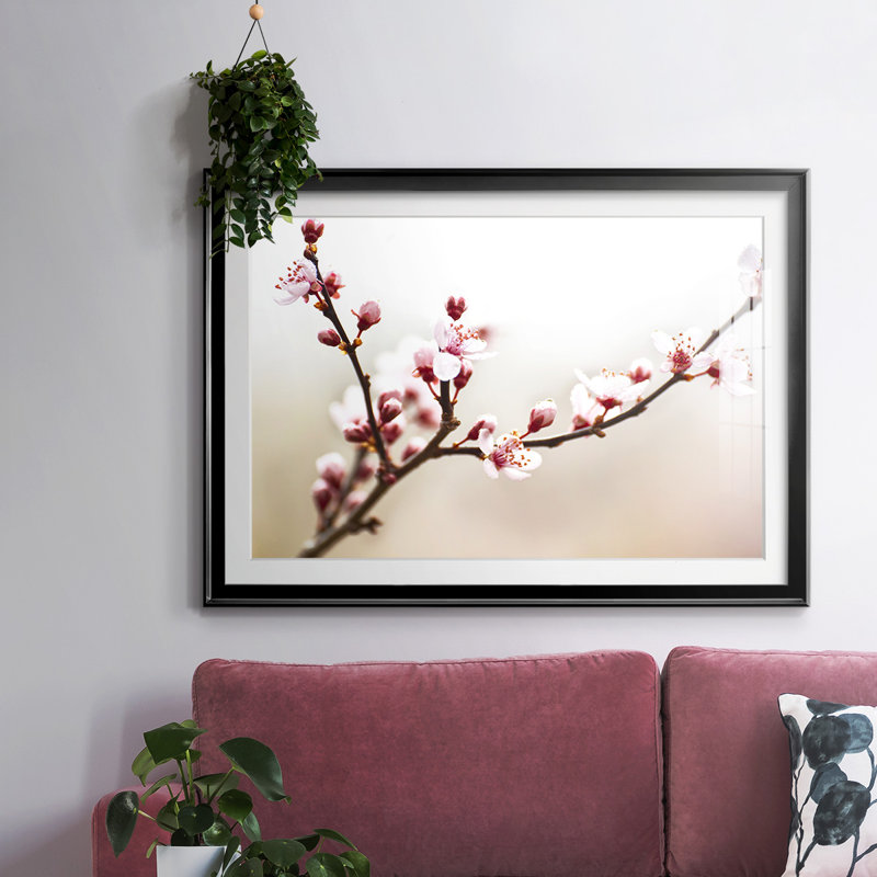 Cherry Blossom Study I, reproduction d'art encadrée, Noir, H 27 po x l 39 po x P 1,5 po