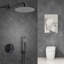 1-Spray 10 In. 2 GPM Wall Mount Dual Shower Heads With Handheld In Matte Black-88204144