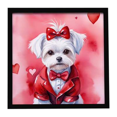 «Maltese My Valentine», impression sur métal encadrée