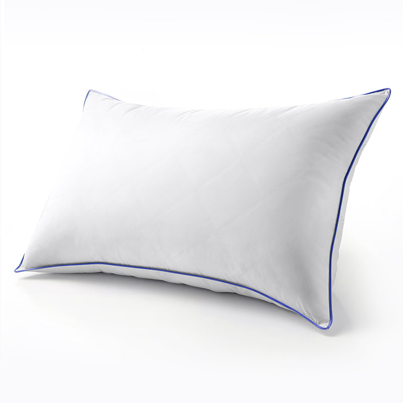 Grey Goose Down Feather Pillow (set Of 2), King