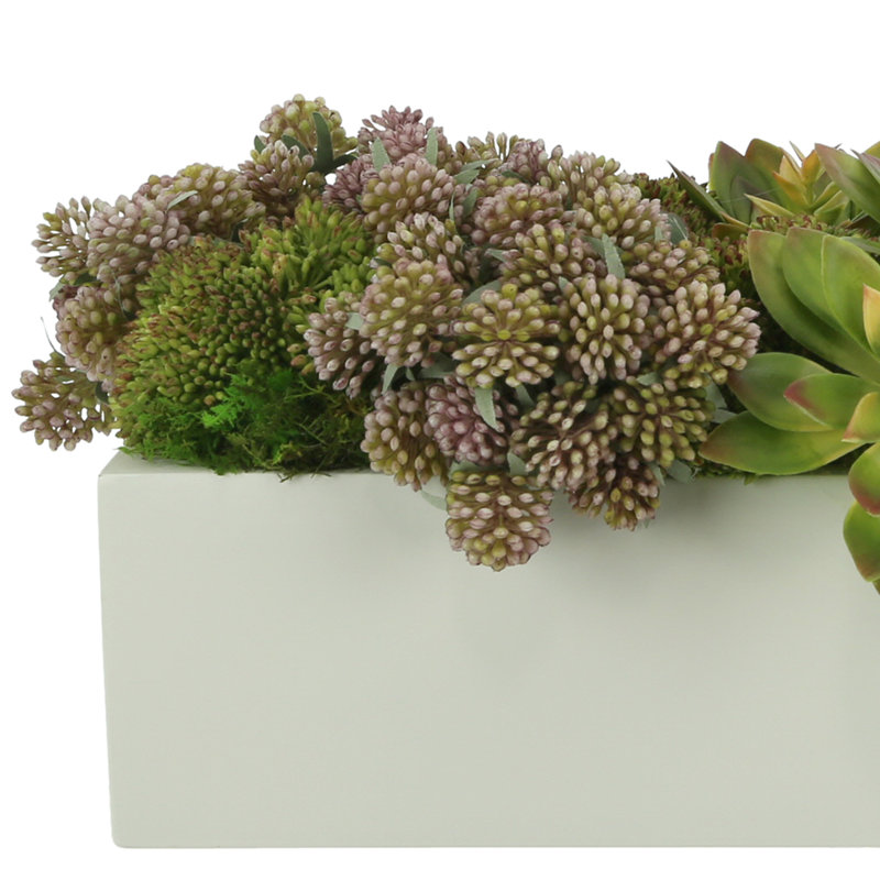 Succulents and Sedum Arranged in Fiberstone Planter