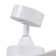 Brend 52'' Ceiling Fan with LED Lights
