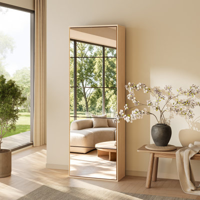Modern Minimalist 5-shelf Acrylic Mirrored Shoe Cabinet