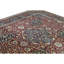 Wool Oriental Area Rug