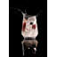 Luxe 400ml Highball Glass Set