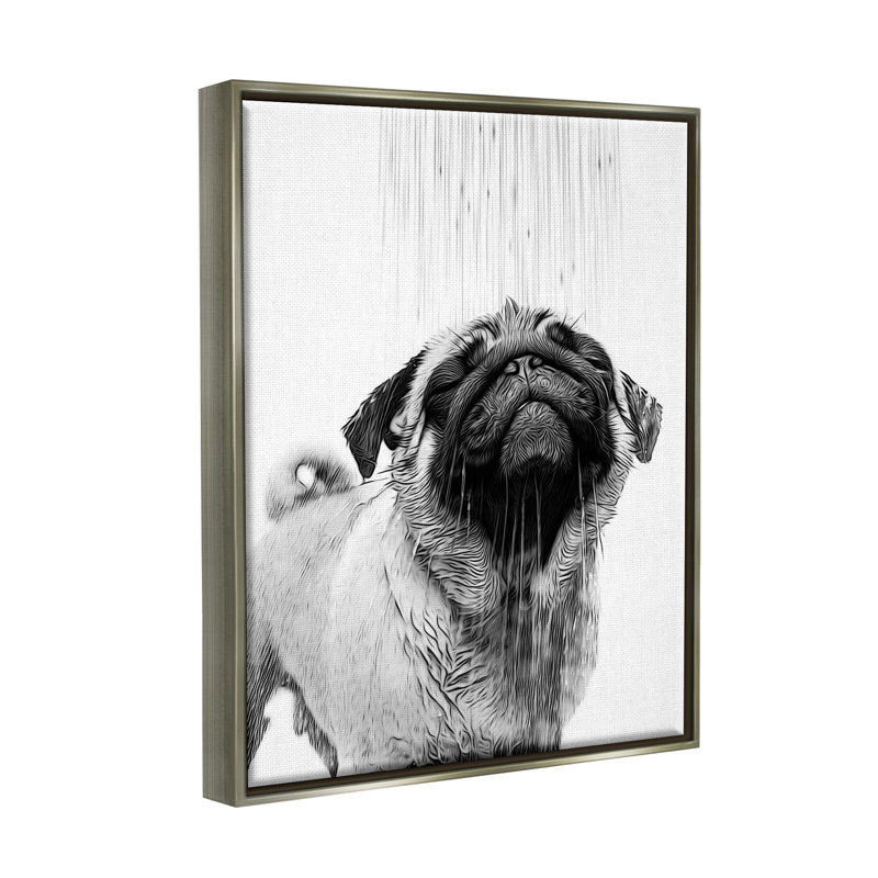 «Pug Bathroom Splash» par Annalisa Latella, Cadre flottant gris lustré, H 21 po x l 17 po x P 1,7 po