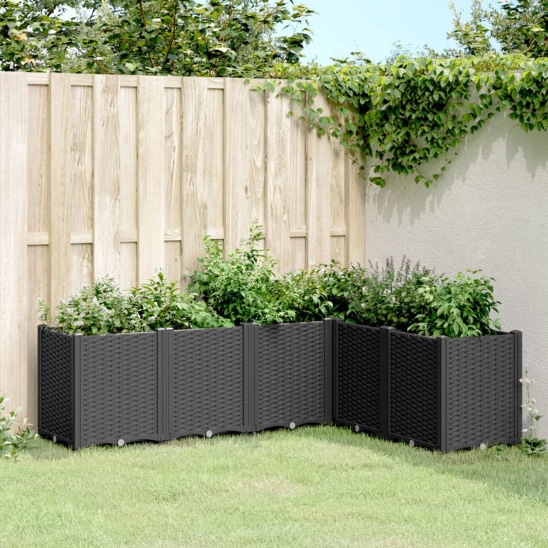 Molissa Planter Box, Black