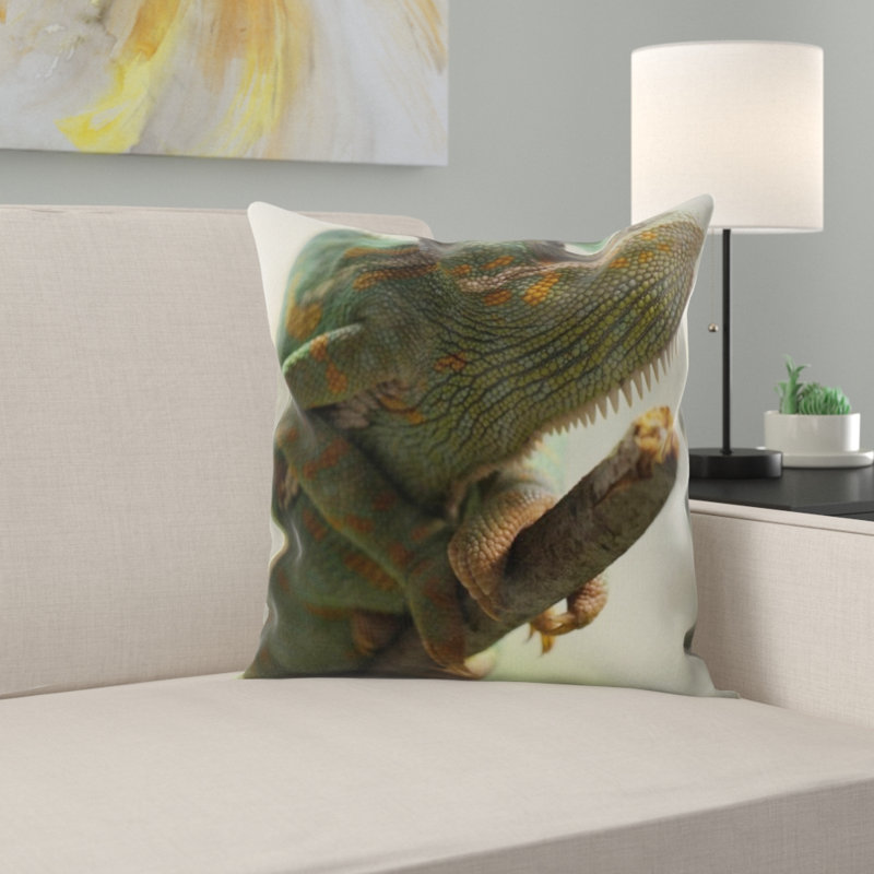 Coussin du yémen chameleon