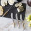 French Home Connoisseur Laguiole Butter Knife
