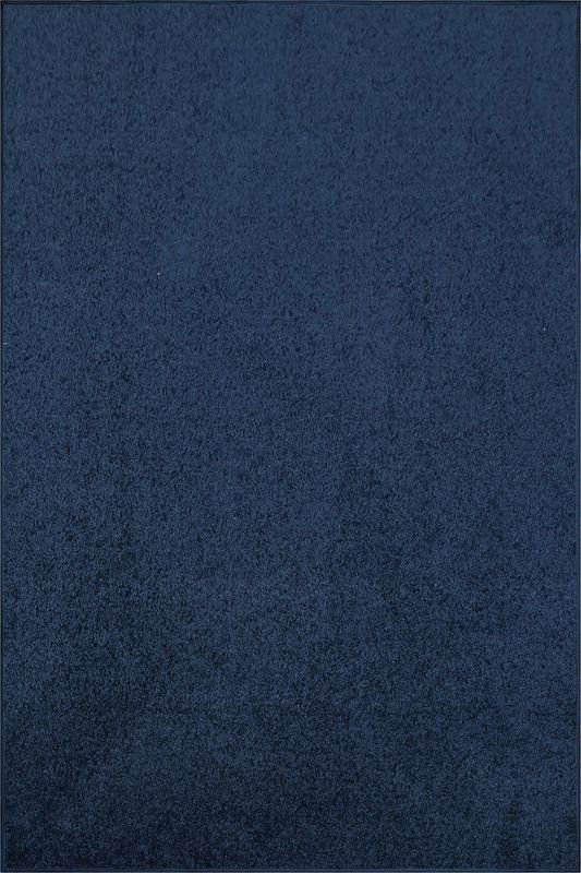 Latitude Run® Navy Solid Color Rug & Reviews | Wayfair