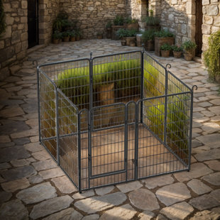 Clôture pour chien