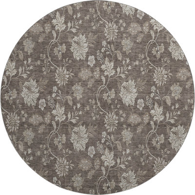 Premium Machine Washable Prisco Chocolate Rug