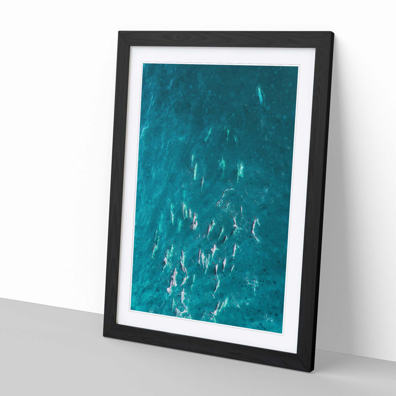 Many Dolphin in Abstract - Framed Print, Black, 50cm H x 35cm W x 2cm D