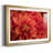 " Spring Fire "-587654912-587654922