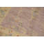 Tapis floral 7 x 7