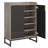 29.52” Grey & Black Shoe Cabinet With Doors-1078100758