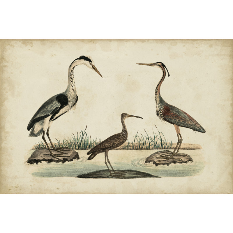 Common Heron & Crested Purple Heron by Friedrich Strack - Wrapped Canvas Print, 81cm H x 122cm W x 3.8cm D