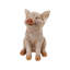Cochon souriant avec des ailes assis