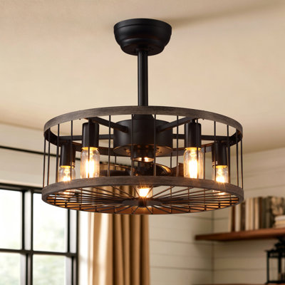 Luminaire à cage noire 20 po