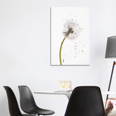 Close-Up Dandelion Seeds - Wrapped Canvas Print