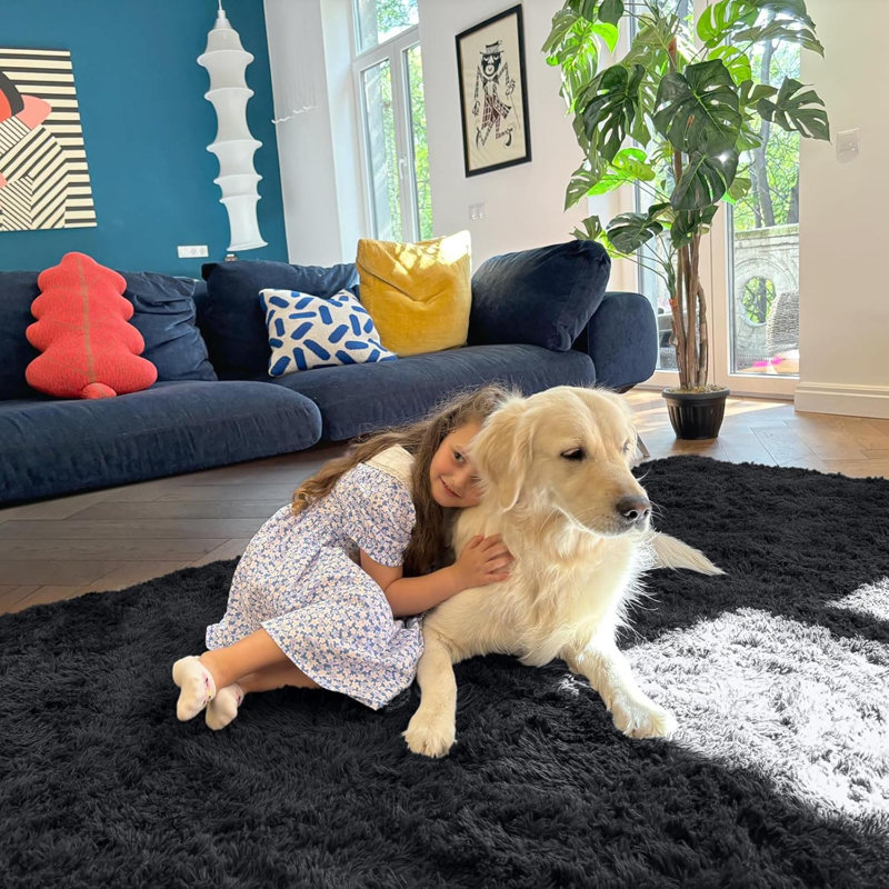 Fluffy Shaggy Rugs Living Room, Large Anti Slip Carpet, Machine Washable Soft Thick Pile Bedside Rug For Kids Bedroom, Nursery