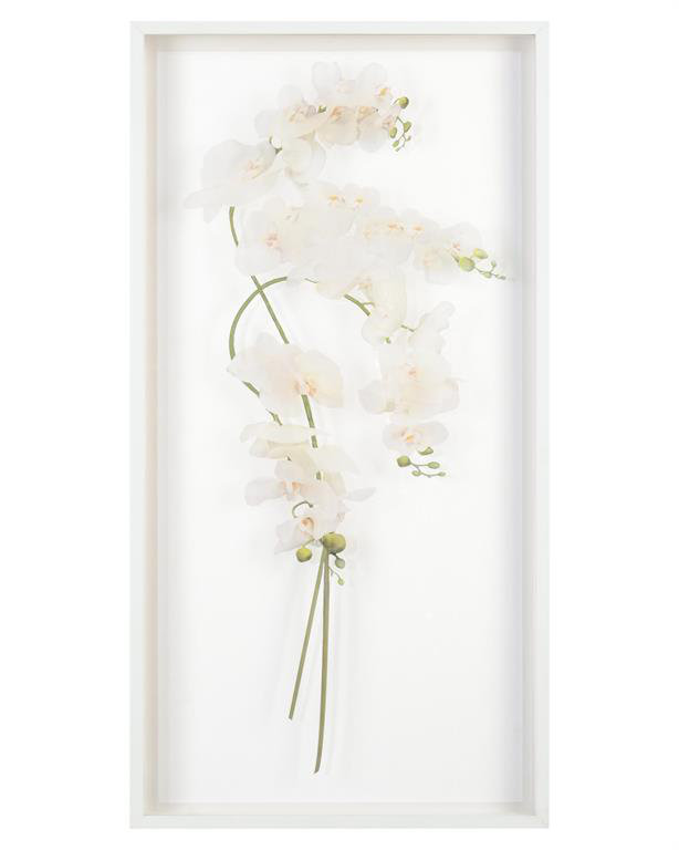 Study Of Orchids I Print