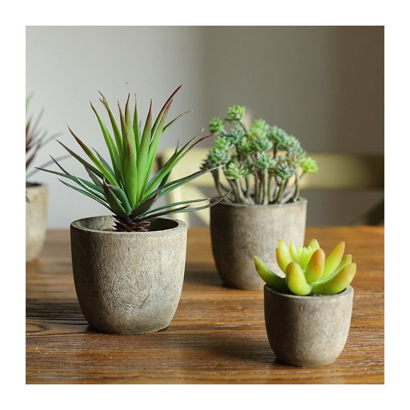 Ensemble de succulent de bureau en pot rustique artificiellement prélevé 5 pièces