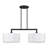 Ackley 2 Light Black Large Linear Chandelier-1271283660