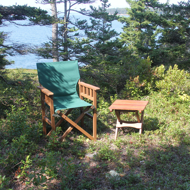 Valenzuela Folding Director Chair, Green